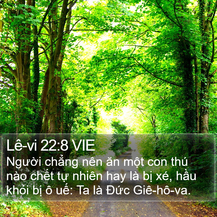 Lê-vi 22:8 VIE Bible Study