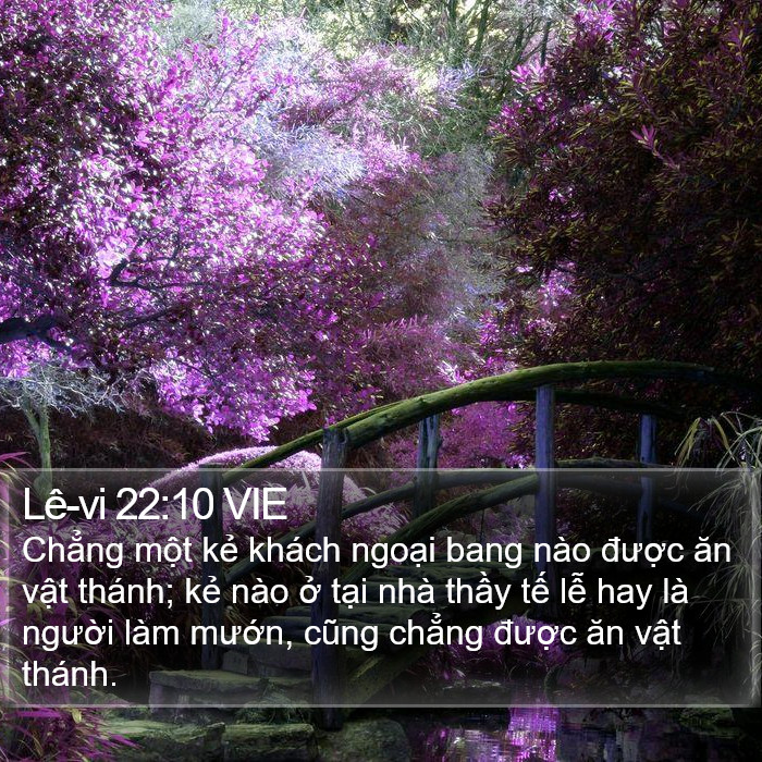 Lê-vi 22:10 VIE Bible Study