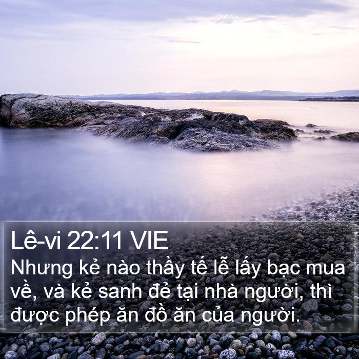 Lê-vi 22:11 VIE Bible Study