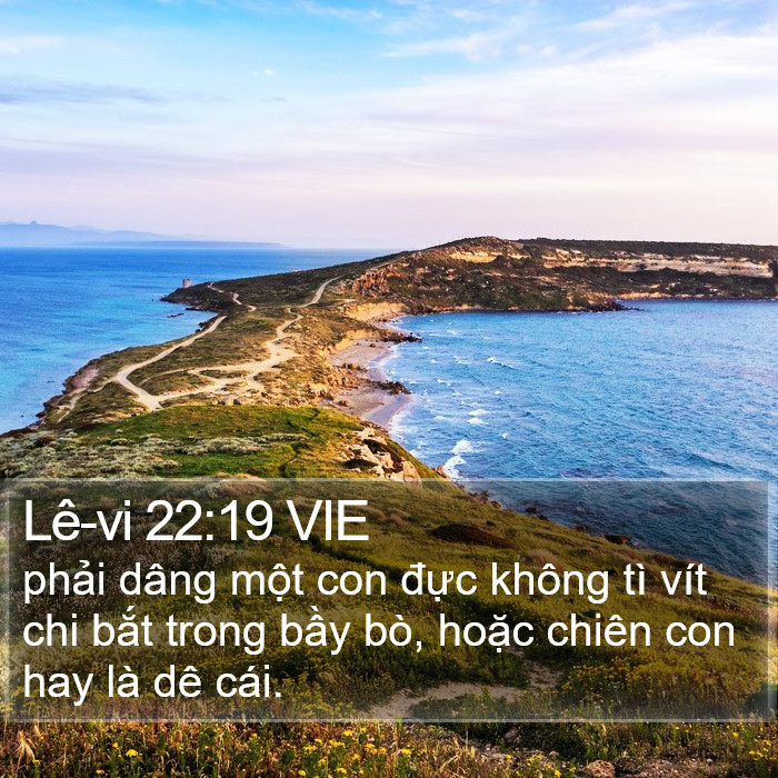 Lê-vi 22:19 VIE Bible Study