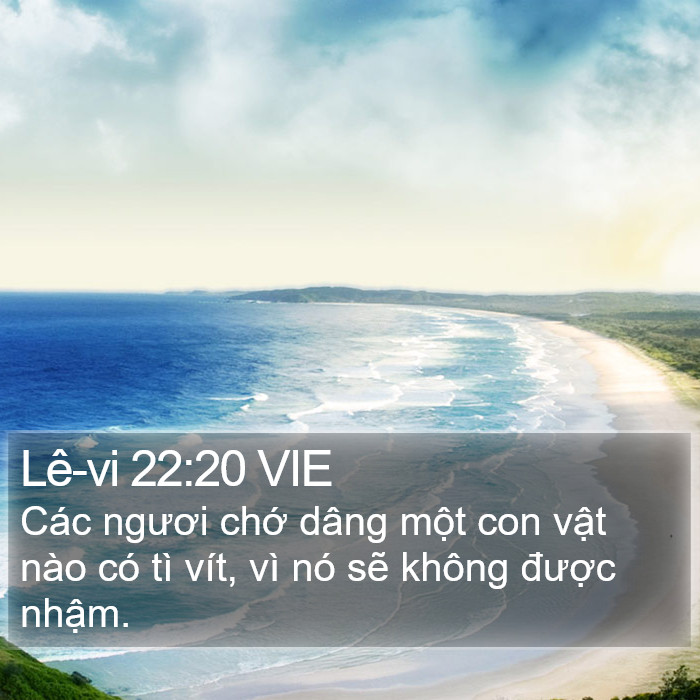 Lê-vi 22:20 VIE Bible Study