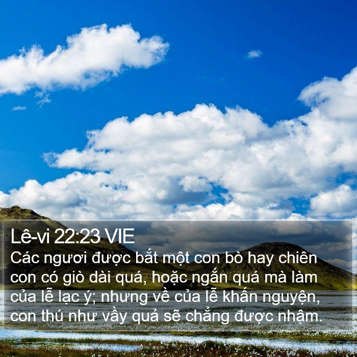 Lê-vi 22:23 VIE Bible Study