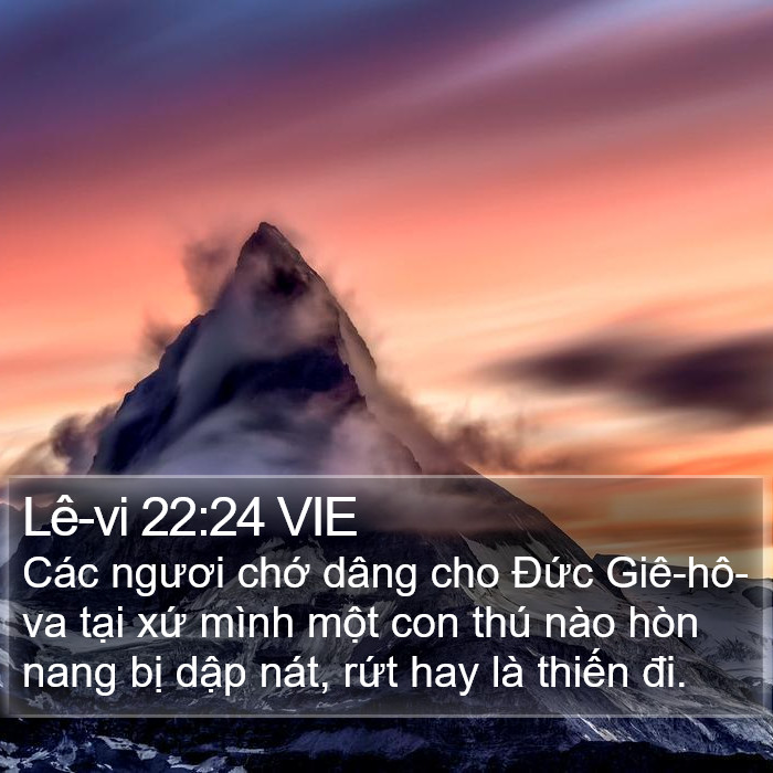 Lê-vi 22:24 VIE Bible Study