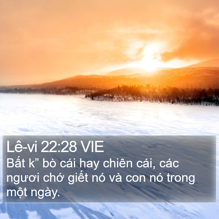 Lê-vi 22:28 VIE Bible Study