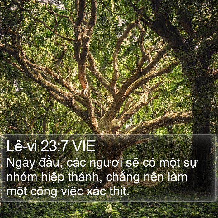 Lê-vi 23:7 VIE Bible Study