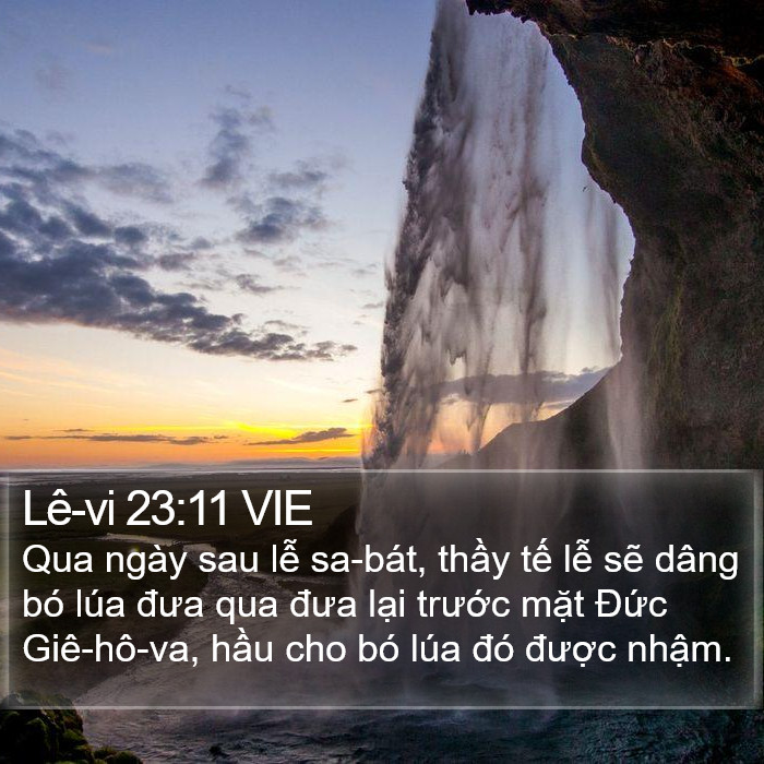 Lê-vi 23:11 VIE Bible Study
