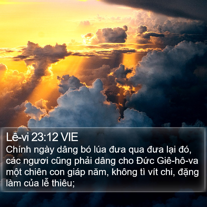 Lê-vi 23:12 VIE Bible Study