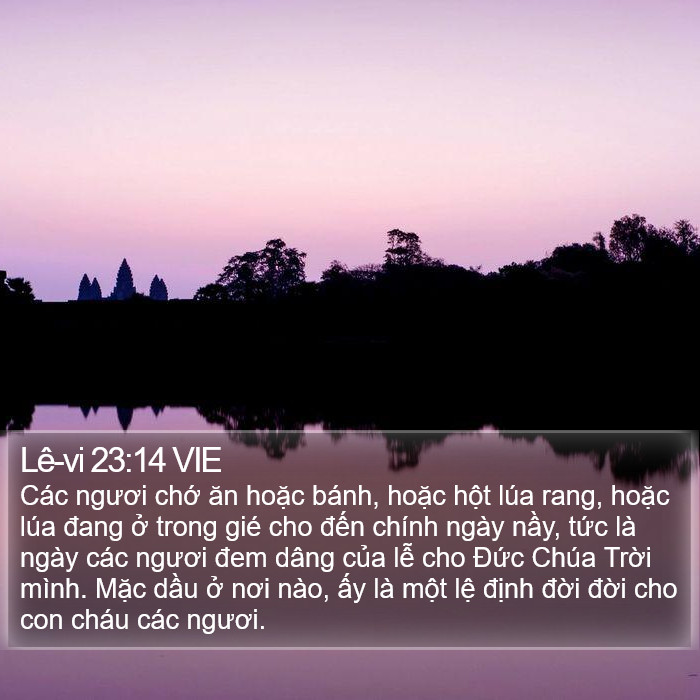 Lê-vi 23:14 VIE Bible Study