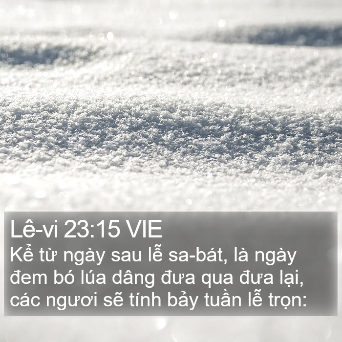 Lê-vi 23:15 VIE Bible Study