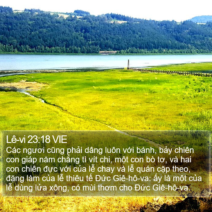 Lê-vi 23:18 VIE Bible Study