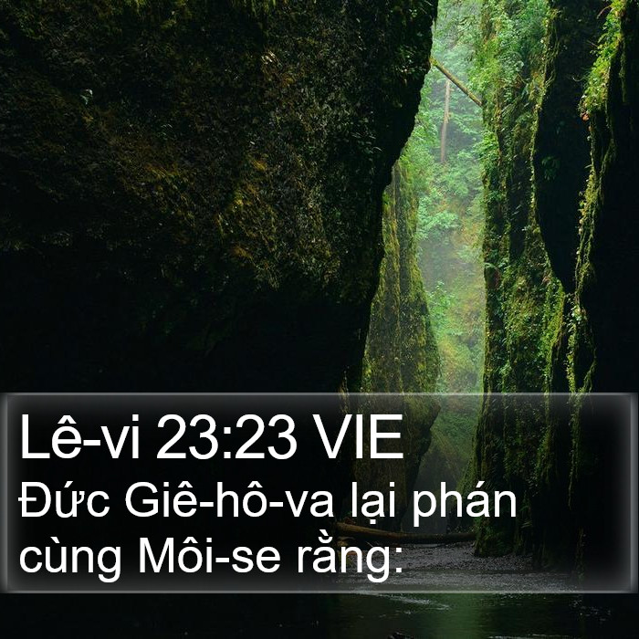 Lê-vi 23:23 VIE Bible Study