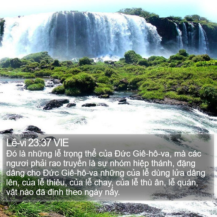 Lê-vi 23:37 VIE Bible Study