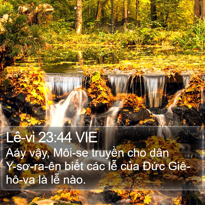 Lê-vi 23:44 VIE Bible Study