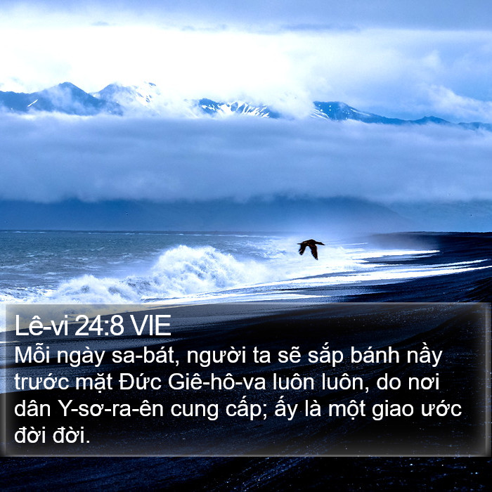 Lê-vi 24:8 VIE Bible Study