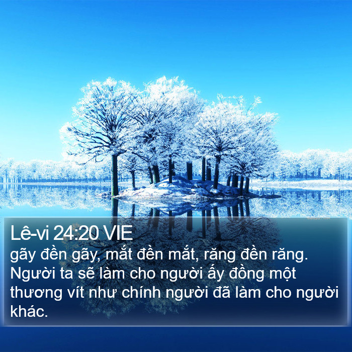 Lê-vi 24:20 VIE Bible Study