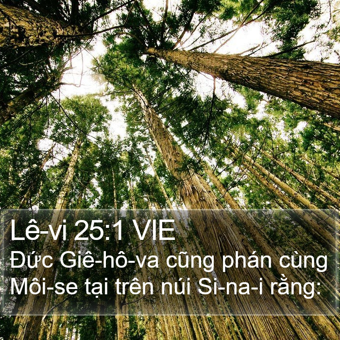 Lê-vi 25:1 VIE Bible Study
