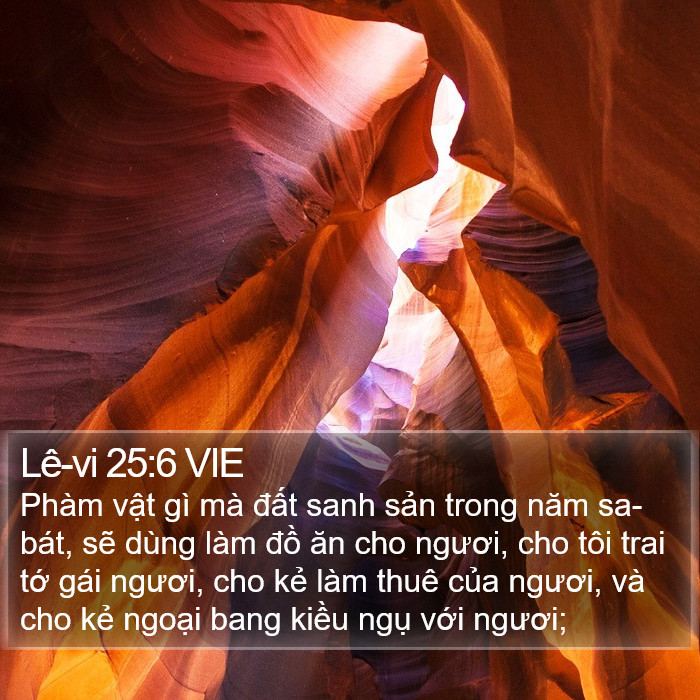 Lê-vi 25:6 VIE Bible Study