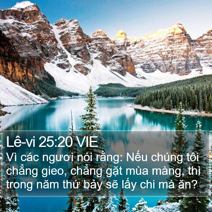 Lê-vi 25:20 VIE Bible Study