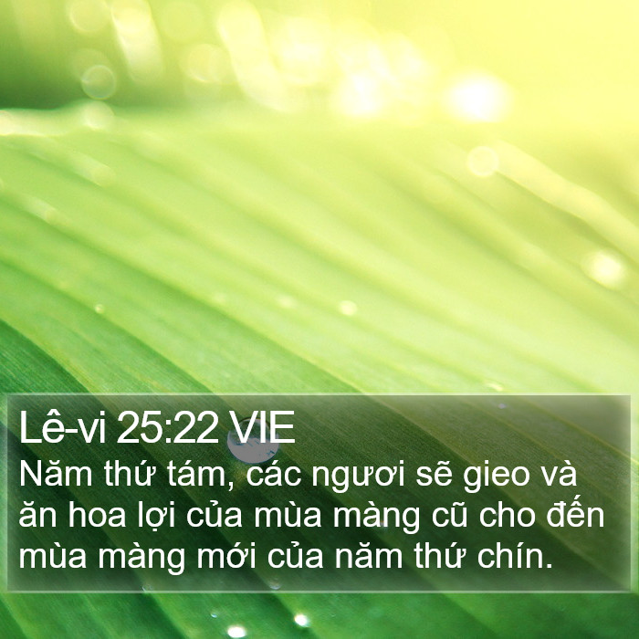 Lê-vi 25:22 VIE Bible Study