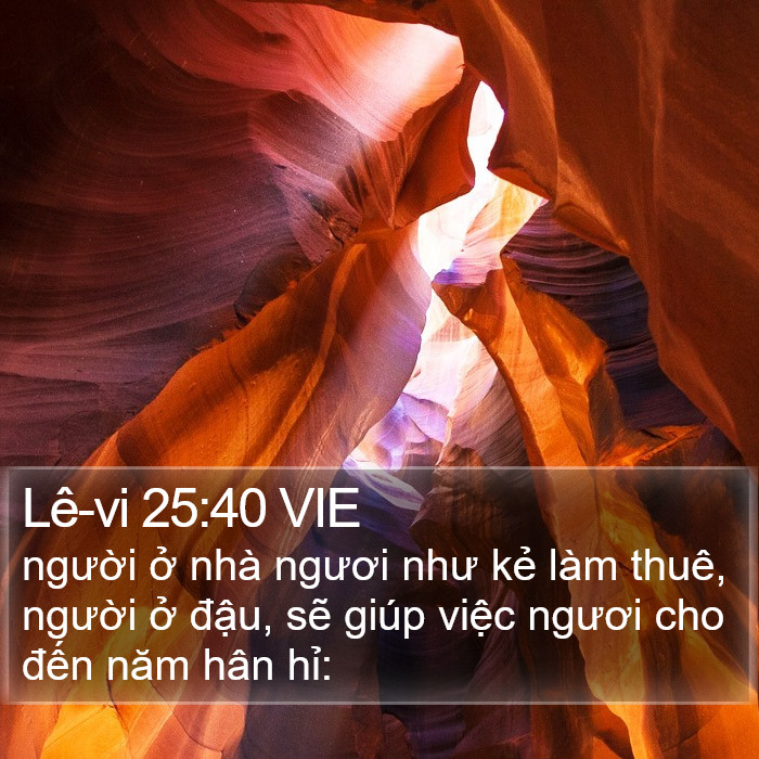 Lê-vi 25:40 VIE Bible Study