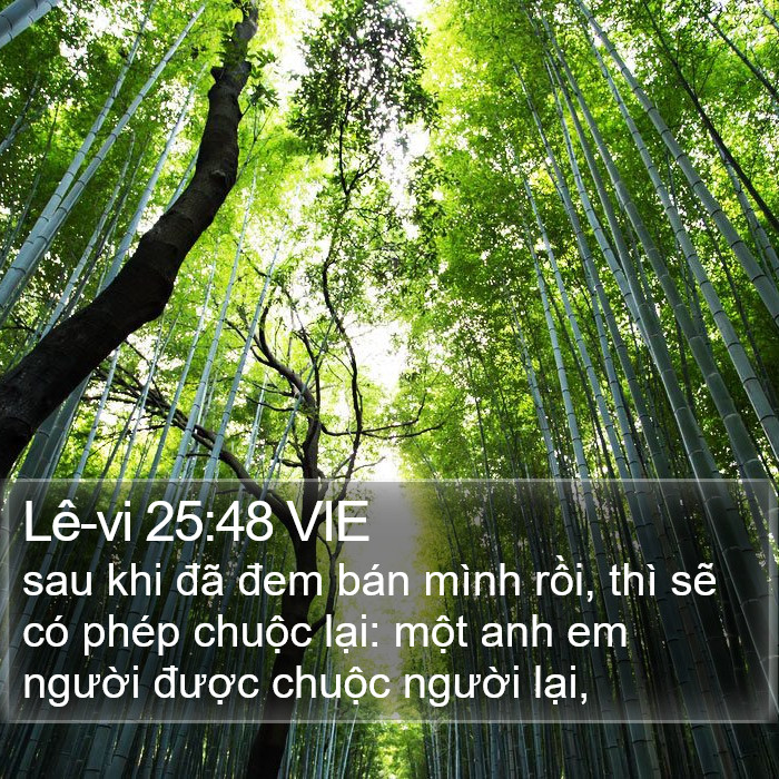 Lê-vi 25:48 VIE Bible Study