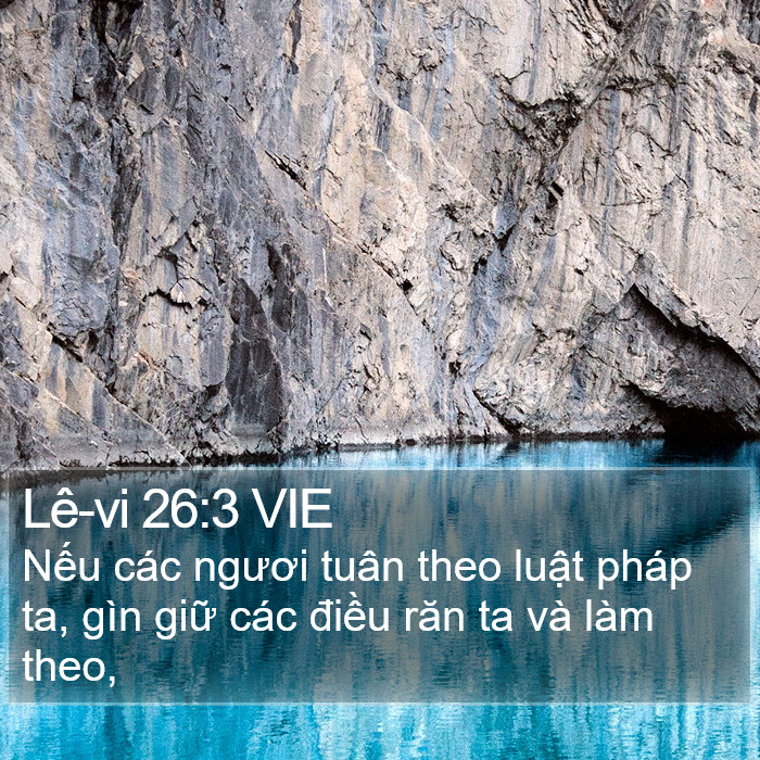 Lê-vi 26:3 VIE Bible Study