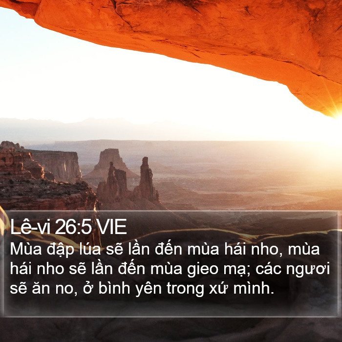 Lê-vi 26:5 VIE Bible Study