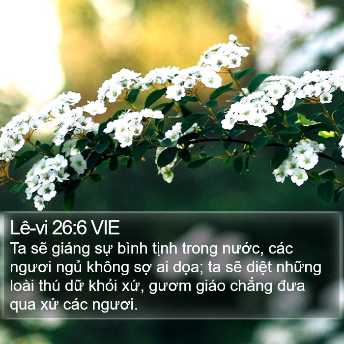 Lê-vi 26:6 VIE Bible Study