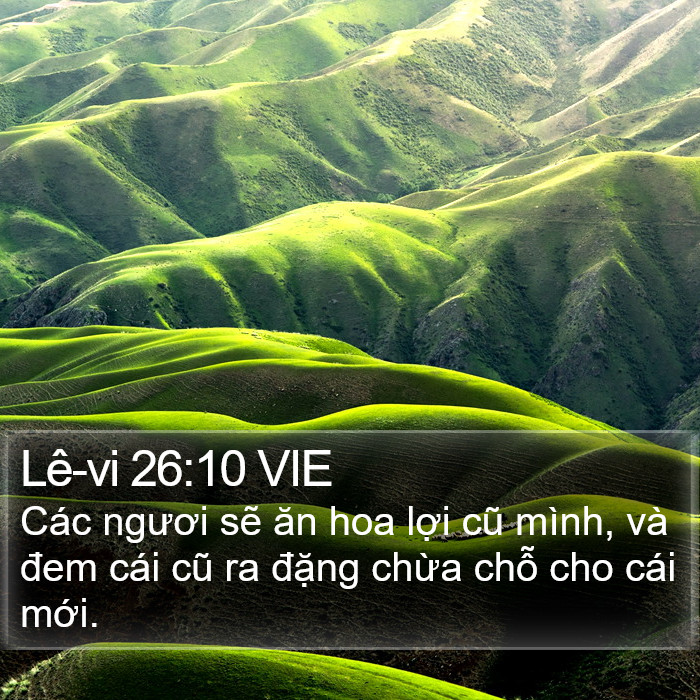 Lê-vi 26:10 VIE Bible Study