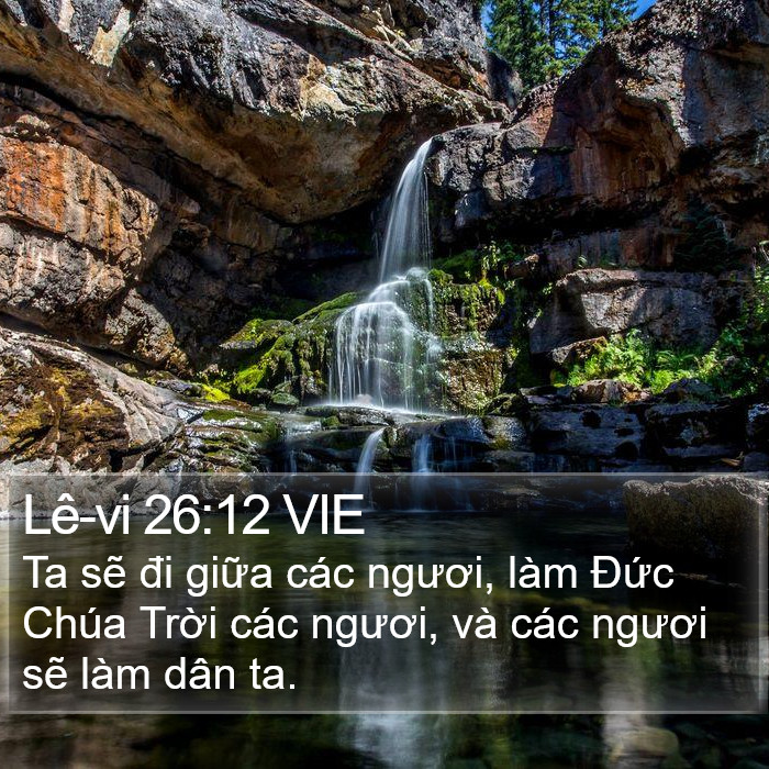 Lê-vi 26:12 VIE Bible Study