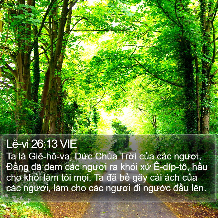 Lê-vi 26:13 VIE Bible Study