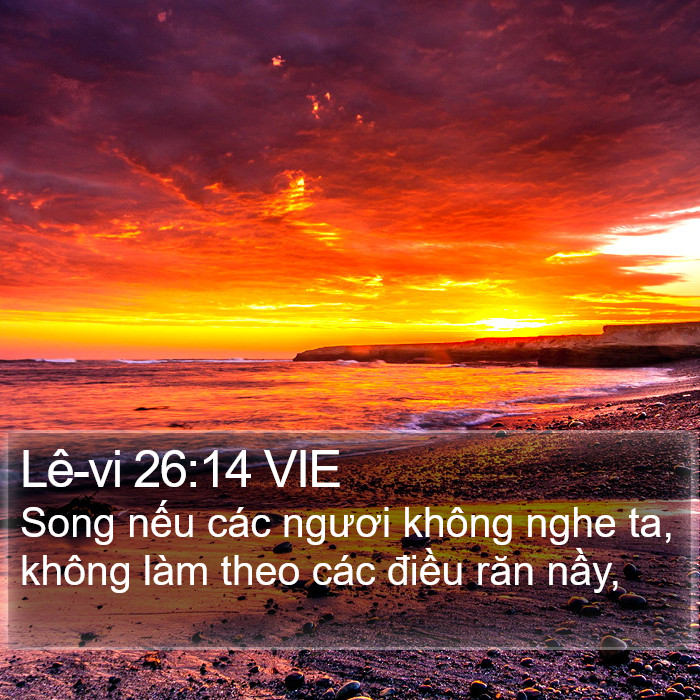 Lê-vi 26:14 VIE Bible Study