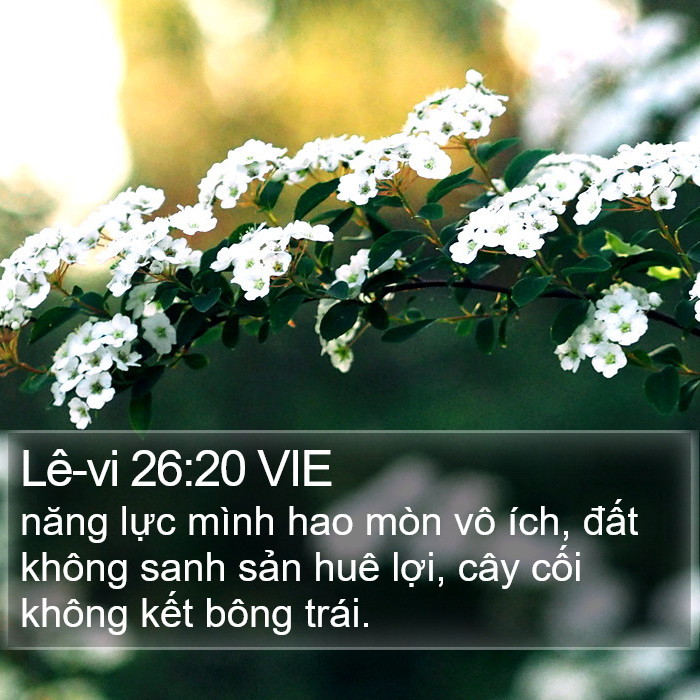 Lê-vi 26:20 VIE Bible Study