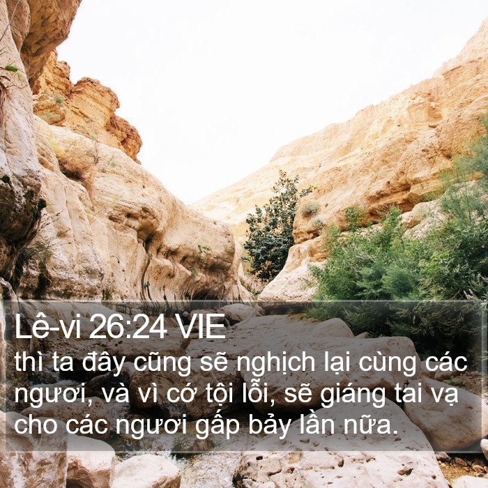 Lê-vi 26:24 VIE Bible Study