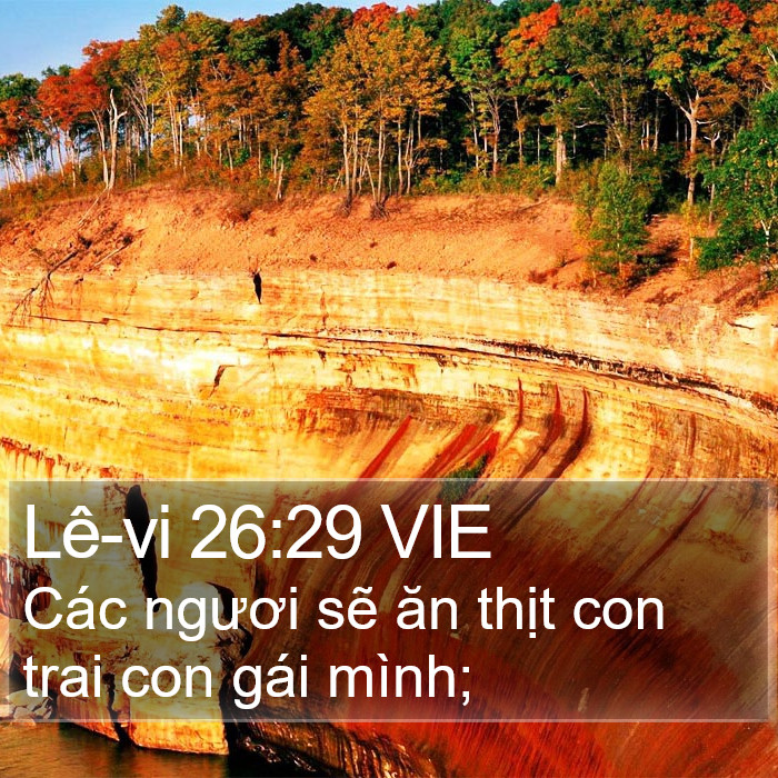 Lê-vi 26:29 VIE Bible Study