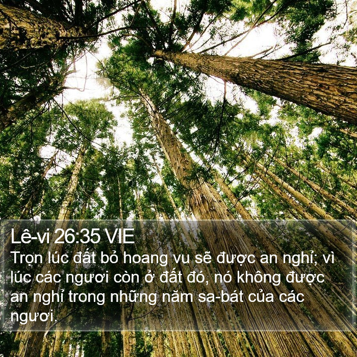 Lê-vi 26:35 VIE Bible Study