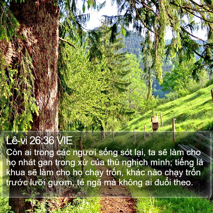 Lê-vi 26:36 VIE Bible Study