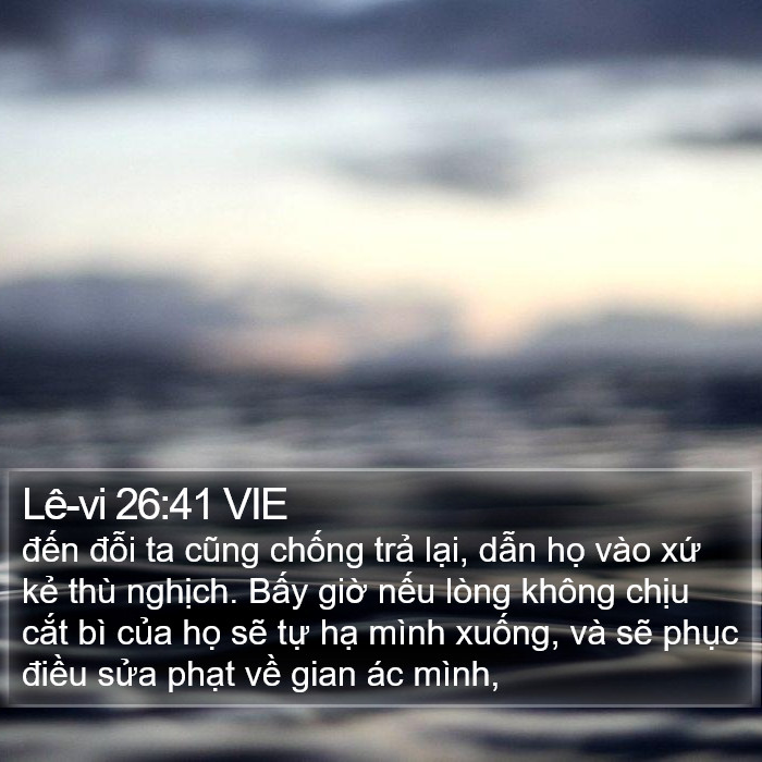 Lê-vi 26:41 VIE Bible Study