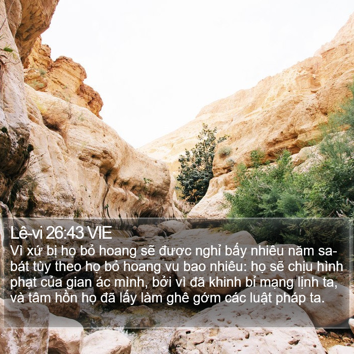 Lê-vi 26:43 VIE Bible Study