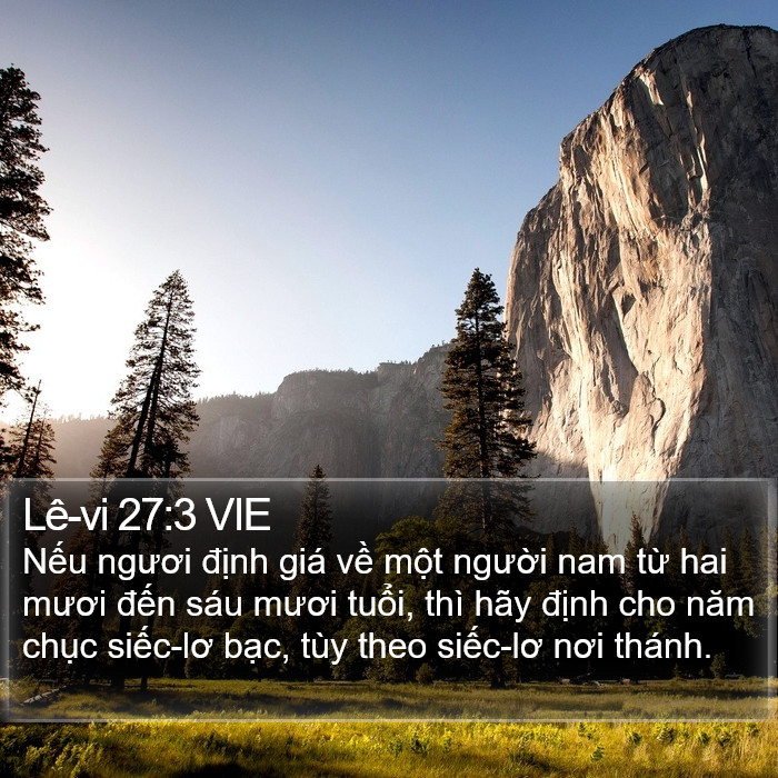 Lê-vi 27:3 VIE Bible Study