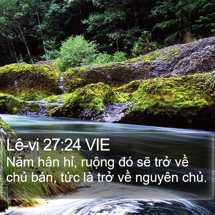 Lê-vi 27:24 VIE Bible Study