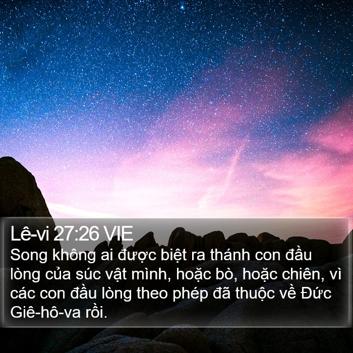 Lê-vi 27:26 VIE Bible Study