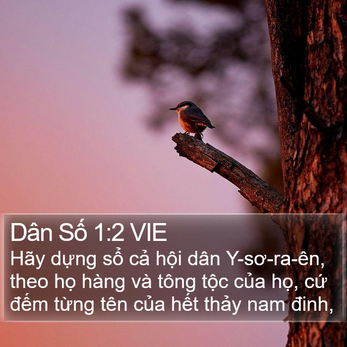 Dân Số 1:2 VIE Bible Study