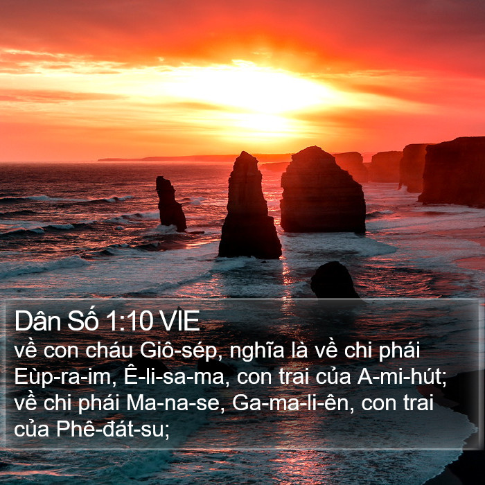 Dân Số 1:10 VIE Bible Study