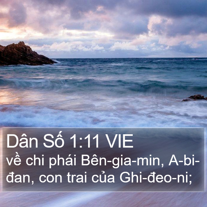 Dân Số 1:11 VIE Bible Study