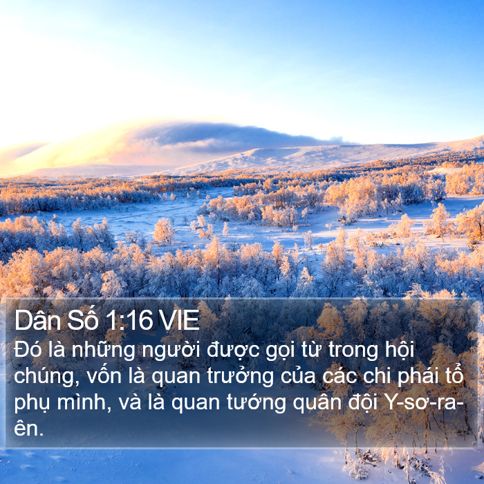 Dân Số 1:16 VIE Bible Study