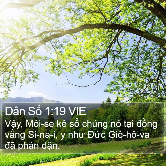 Dân Số 1:19 VIE Bible Study