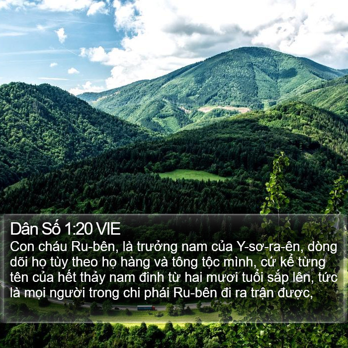 Dân Số 1:20 VIE Bible Study