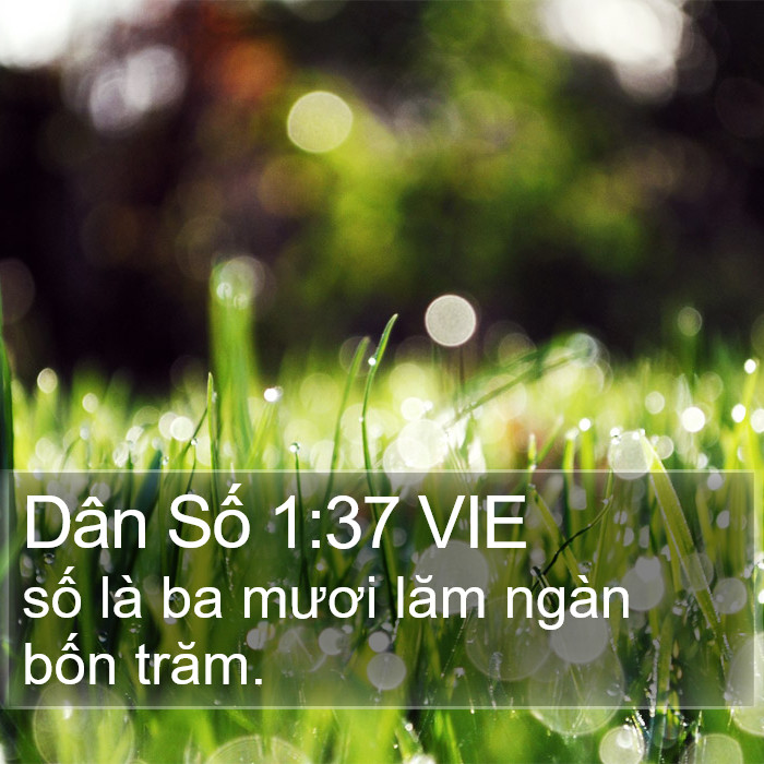 Dân Số 1:37 VIE Bible Study