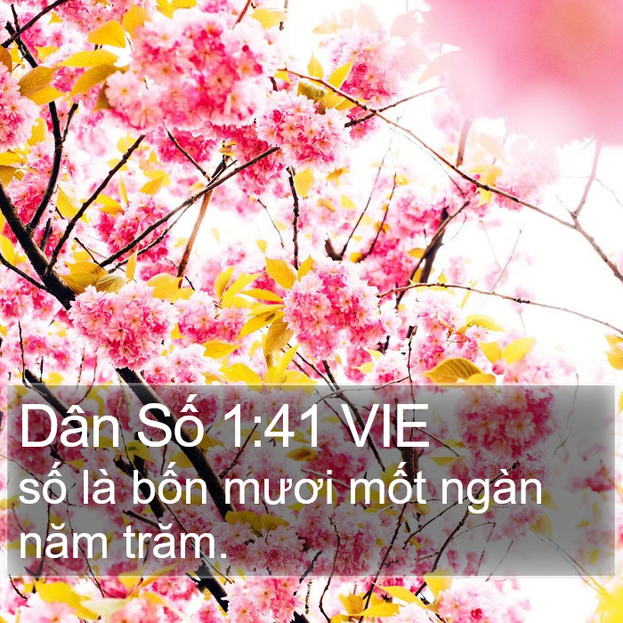 Dân Số 1:41 VIE Bible Study